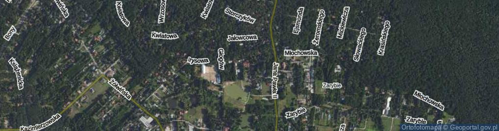 Zdjęcie satelitarne Różana ul.